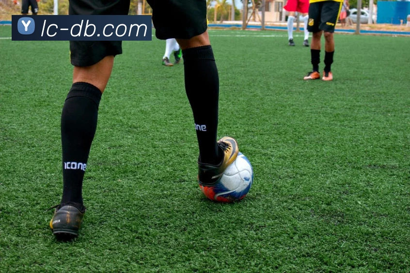 开云APP 高清赛事图